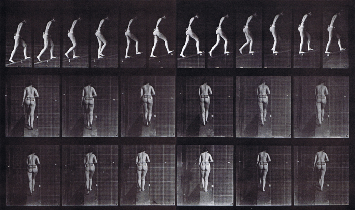 Profile and rear views of nude female ascending an incline, looping walkcycle animation reference using muybridge plate 79 from animal locomotion
