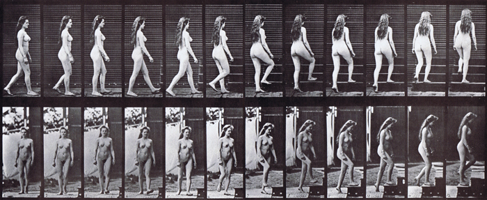 Profile and front views of nude female walking and turning and ascending stairs animation reference using muybridge plate 99 from animal locomotion