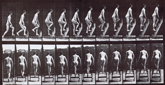 Profile and rear views of nude male ascending a stepladder animatino reference using muybridge plate 109 from animal locomotion