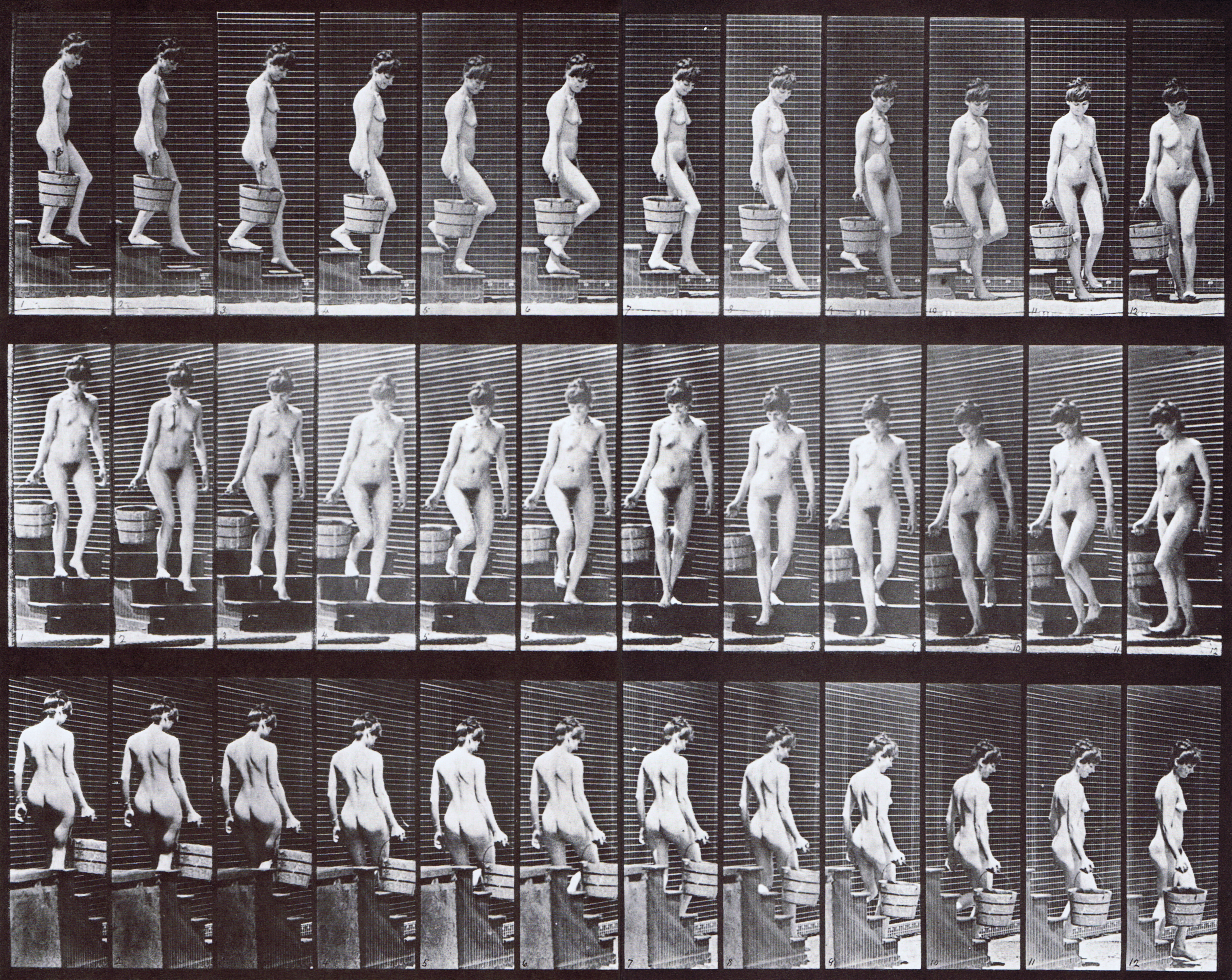 large profile, front three-quarter, and rear three-quarter views of nude female descending stairs carrying a bucket of water in right hand animation reference using muybridge plate 145 from animal locomotion