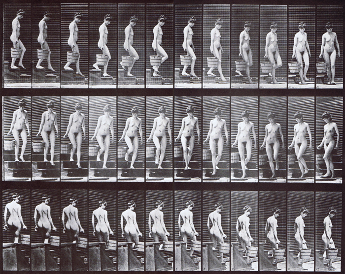 Profile, front three-quarter, and rear three-quarter views of nude female descending stairs carrying a bucket of water in right hand animation reference using muybridge plate 145 from animal locomotion