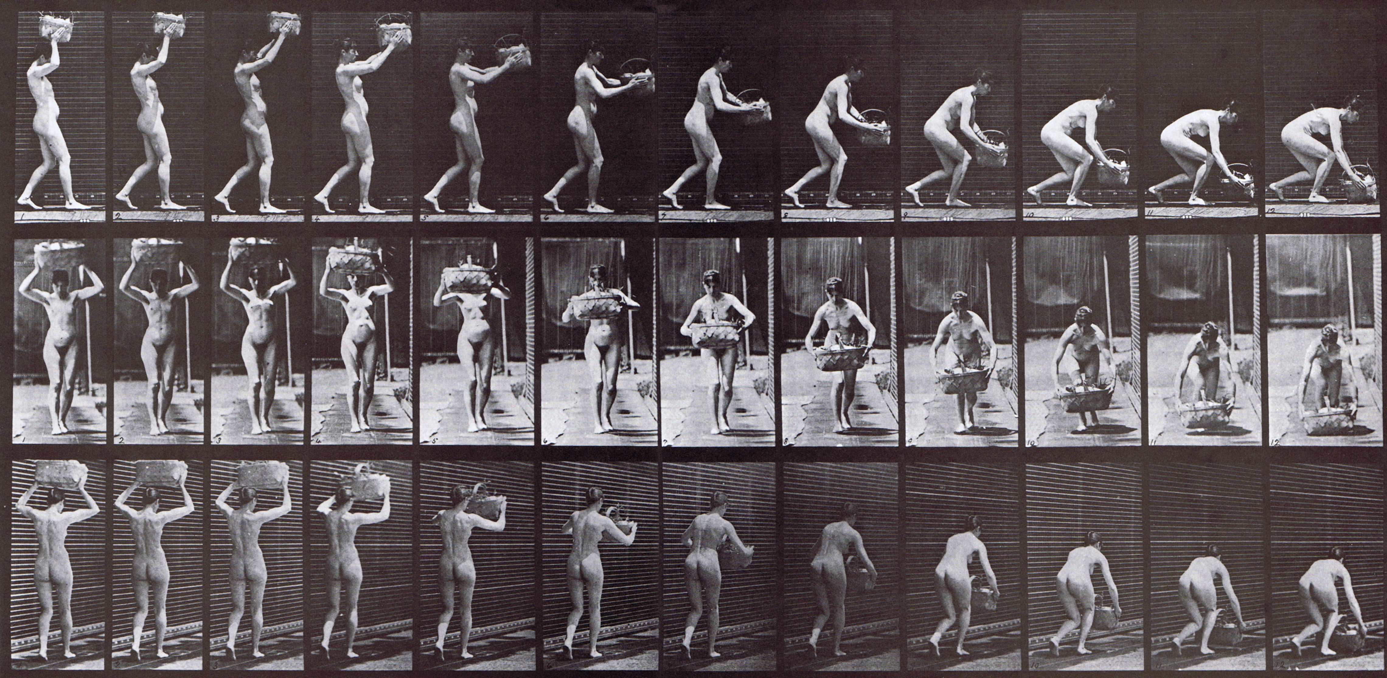 large profile, front, and rear three-quarter views of nude female removing 12 pound basket from head and placing on ground animation reference using muybridge plate 201 from animal locomotion