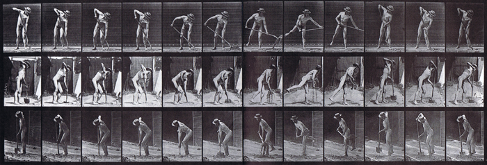 Profile, rear three-quarter, and front three-quarter views of nude male farmer with long handle shoverling animation reference using muybridge plate 387 from animal locomotion