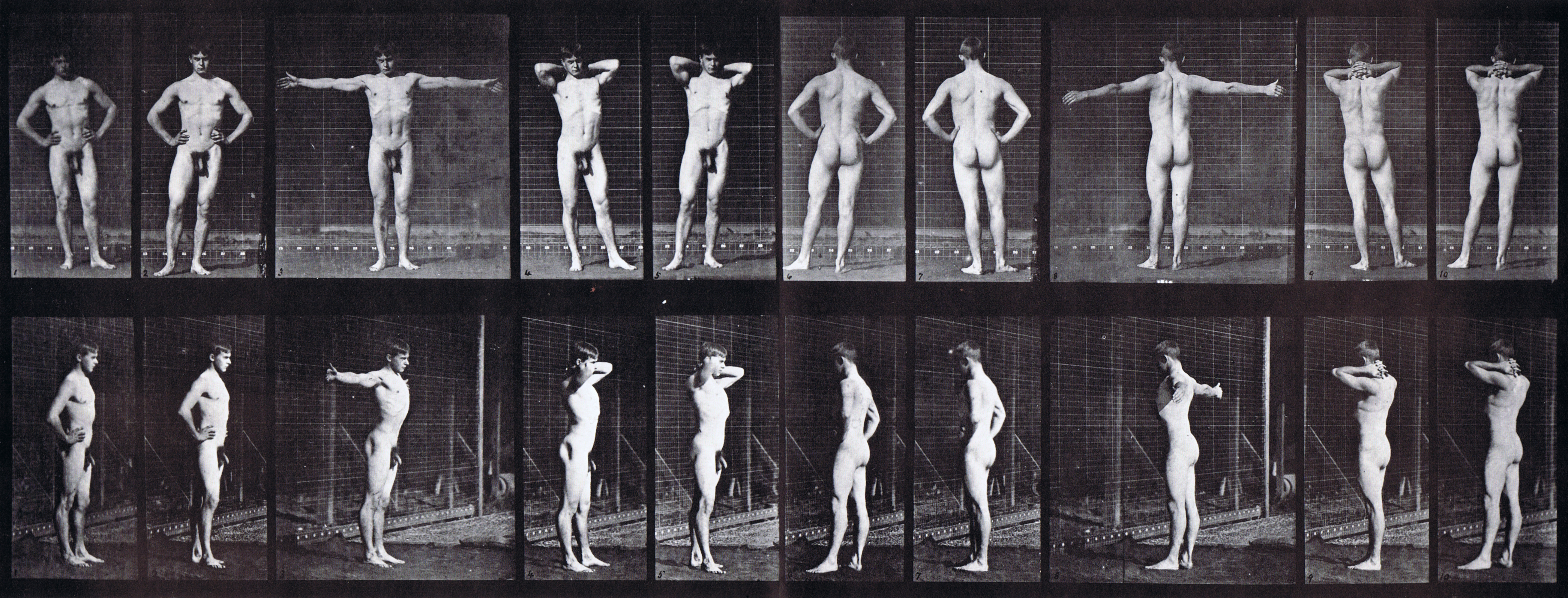 large variety of nude male poses, hands on hips, on neck, in air, at side, etc animation reference using muybridge plate 529 from animal locomotion