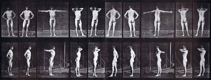 Variety of nude male poses, hands on hips, on neck, in air, at side, etc animation reference using muybridge plate 529 from animal locomotion