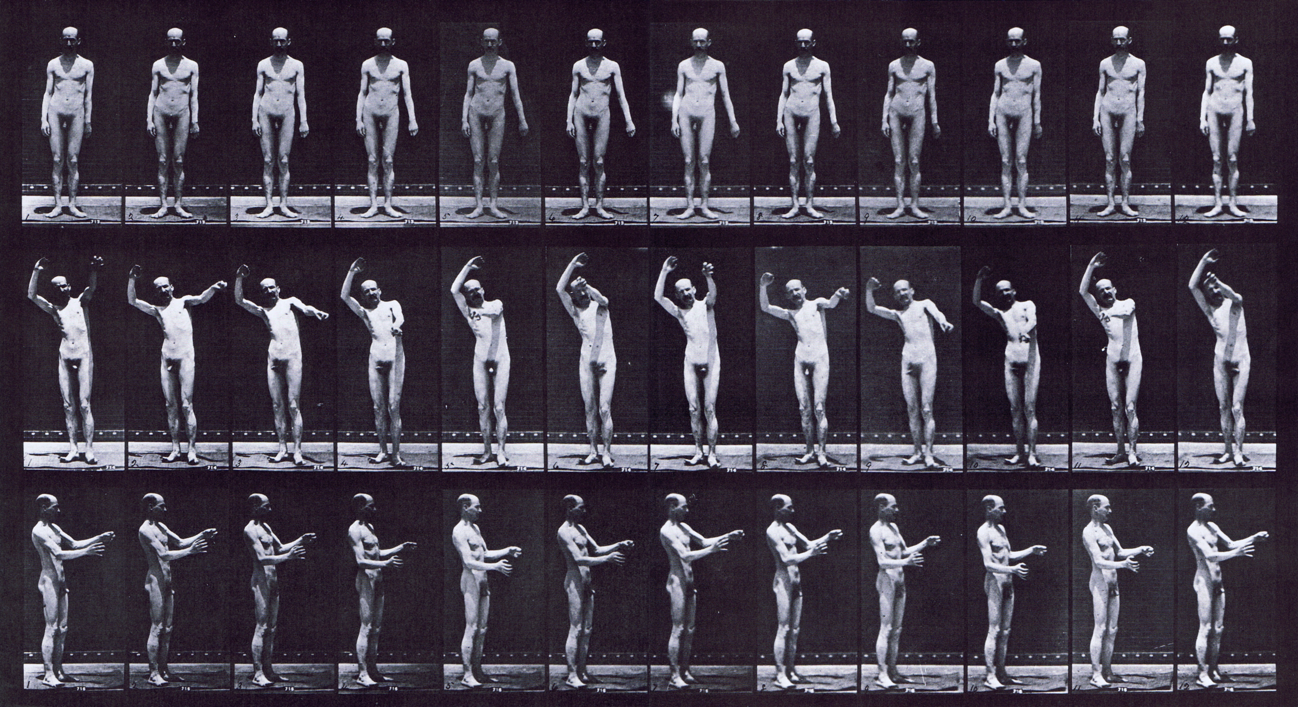 large front and profile views of nude male with local chorea standing animation reference using muybridge plate 557 from animal locomotion