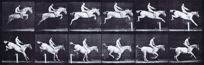 Profile view of horse jumping hurdle with bareback hude male rider animation reference using muybridge plate 643 from animal locomotion