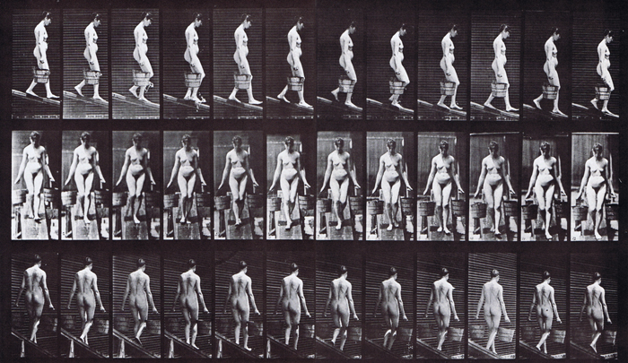 Profile, front, and rear three-quarter views of looping nude female descending inline carrying a bucket of water in each hand animation reference using muybridge plate 121 from animal locomotion
