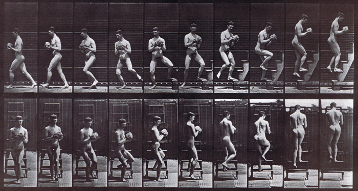 Profile and rear views of nude male descending stepladder and turning around carrying a rock in hand animation reference using muybridge plate 151 from animal locomotion