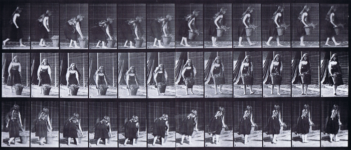 Profile, front three-quarter, and rear three-quarter views of clothed female stooping and lifting a 30 pound basket animation reference using muybridge plate 217 from animal locomotion