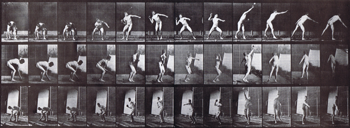 Front, profile, and front three-quarter views of nude male putting the shot animation reference using muybridge plate 310 from animal locomotion