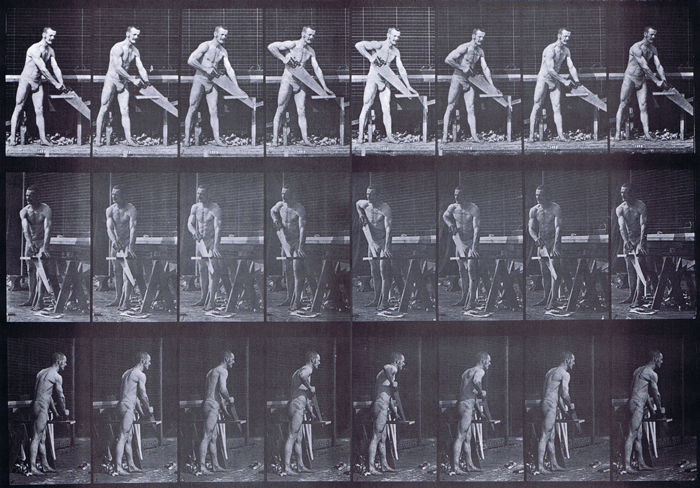 Profile, front three-quarter, and rear three-quarter views of semi nude male carpenter, sawing a board animation reference using muybridge plate 380 from animal locomotion