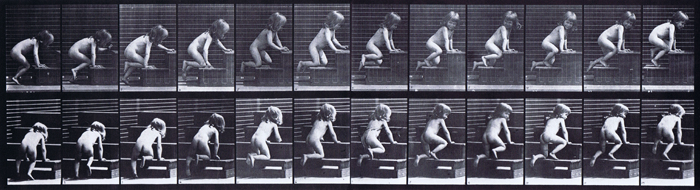 Profile and rear three quarter views of nude female toddler child crawling up stairs animation reference using muybridge plate 472 from animal locomotion